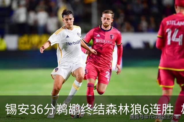 锡安36分鹈鹕终结森林狼6连胜 雄鹿险胜公牛